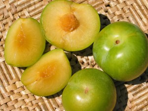 Emerald Drop Pluot